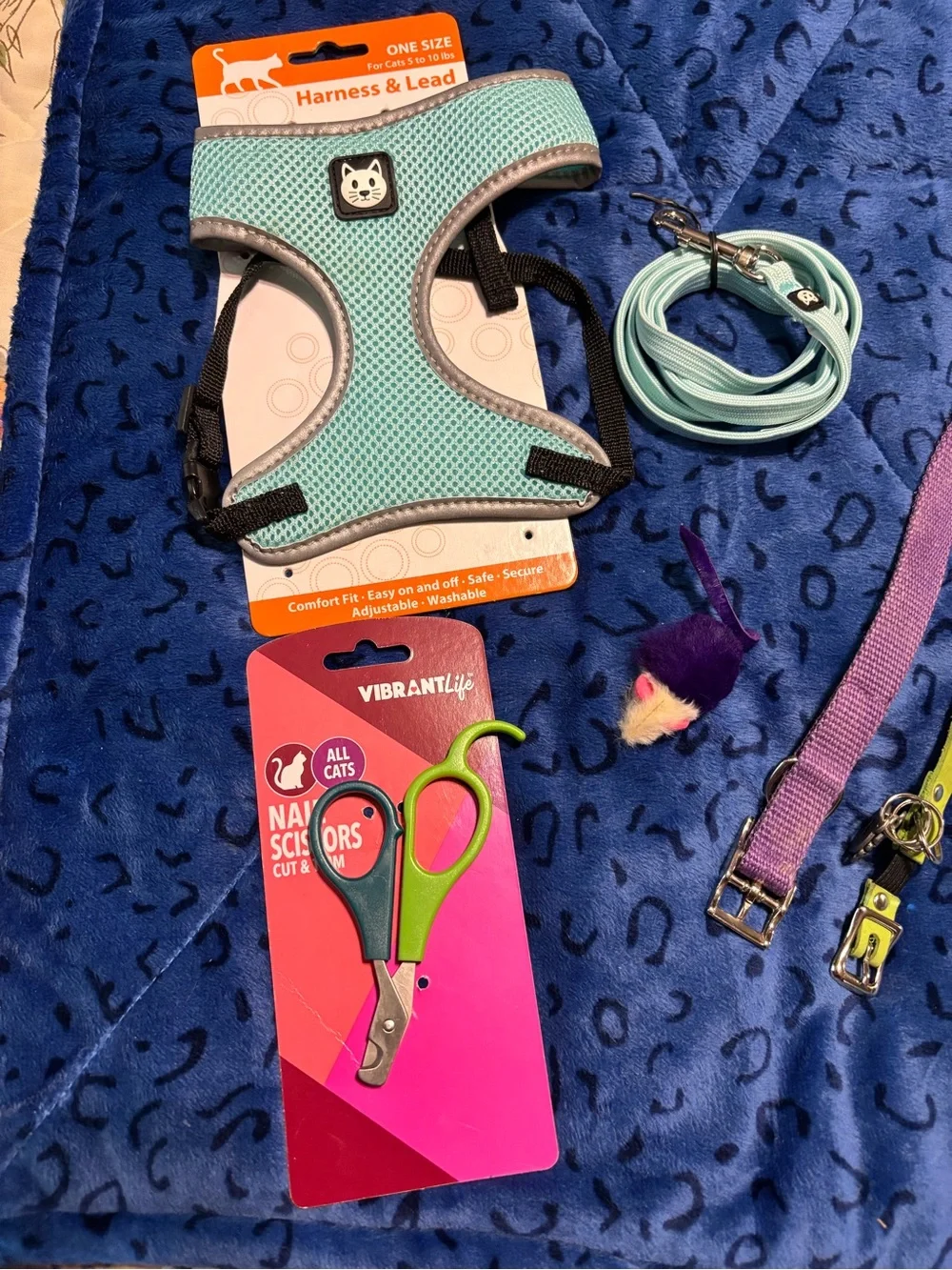 Lot of cat accessories
